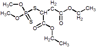Molekylets struktur